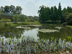 -白鹭湾湿地公园