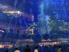 -成都浩海立方海洋公园