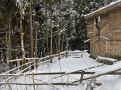 -武陵山森林公园