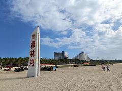 -东郊椰林
