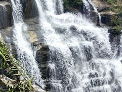 -海南热带雨林国家公园吊罗山景区