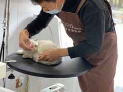 -佐罗家宠物馆·猫文化馆(紫霞路店)