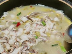 -周渝食惦酸菜鱼(青浦店)