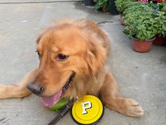 -三圣花乡旅游区