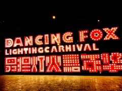 -锦江乐园舞狸花花游园会(夜场专享)