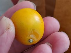 -西部马华清真兰州牛肉面·烧烤夜市(关东店)