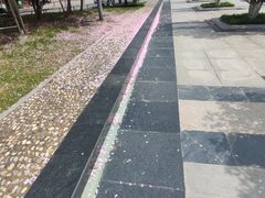 -合肥生态公园