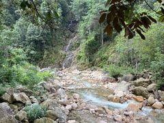 -姑婆山旅游区