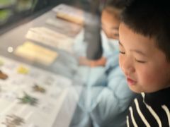 -四川大学博物馆