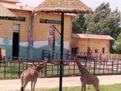 -鄂尔多斯野生动物园