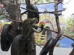 -西安秦岭野生动物园