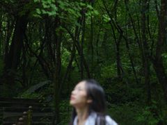 -叠溪松坪沟景区