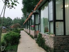 -洪湖家庭农场·团建·露营·会议