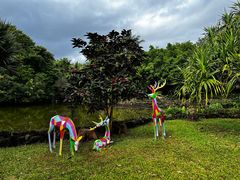 -海南热带野生动植物园