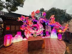 -横店影视城梦幻谷园区