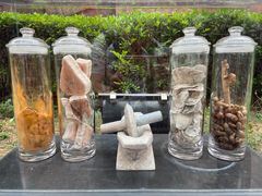 -广州神农草堂中医药博物馆