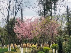 -盐井记·自贡美蛙鲜锅兔(中和店)