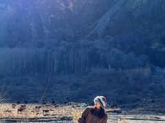 -叠溪松坪沟景区