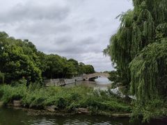 -溱湖国家湿地公园