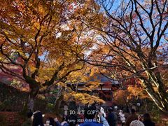 -常寂光寺