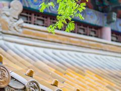 -云龙山