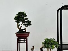 -上海植物园-4号门售票处