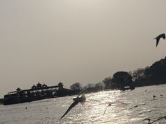 -无锡蠡湖国家湿地公园-蠡园