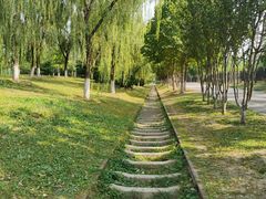 -永定河休闲森林公园