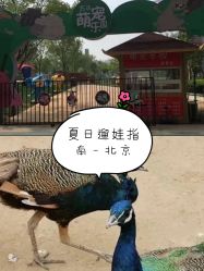 -萌宠亲子动物乐园(槐房万达店)