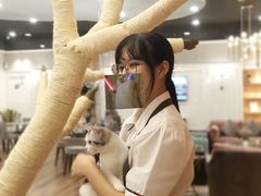 -袖虎·猫馆(体育西路店)