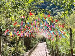 -九龙潭景区