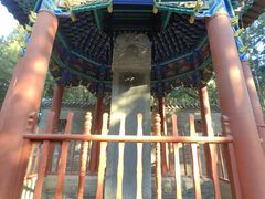 -关林