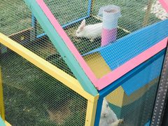 -廊坊固安福朋喜来登酒店