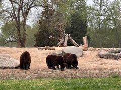 -北京野生动物园