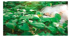 点击看大图 -保定巴黎婚纱摄影