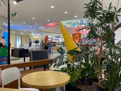 -野人先生Gelato(上海长宁龙之梦店)