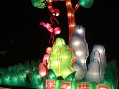 -金卉庄园