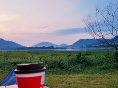 -风云岭森林公园