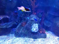 -沈阳海洋探索中心