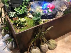 -东椰·海南椰子鸡火锅(朝阳门店)