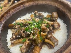 -红星光发煲仔饭(大石街店)