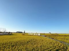 -红海滩国家风景廊道