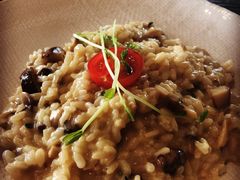 黑松露鲜蘑烩饭-IL Forno 意坊·意大利餐厅(温州万象城店)