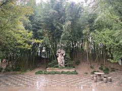 -水绘园