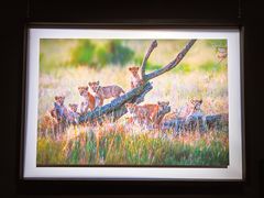 -罗红摄影艺术馆