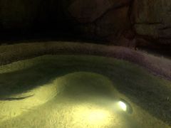 -海口观澜湖火山温泉谷