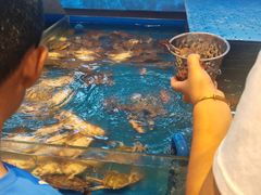 -加勒比阳光环球美食自助(凯德店)