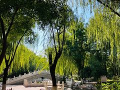 -丰台科技园生态主题公园