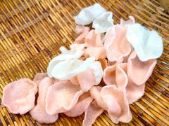 -马房湾66号·江湖菜
