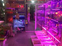 -宝鸡东道花鸟鱼虫市场(吉利花园商场店)